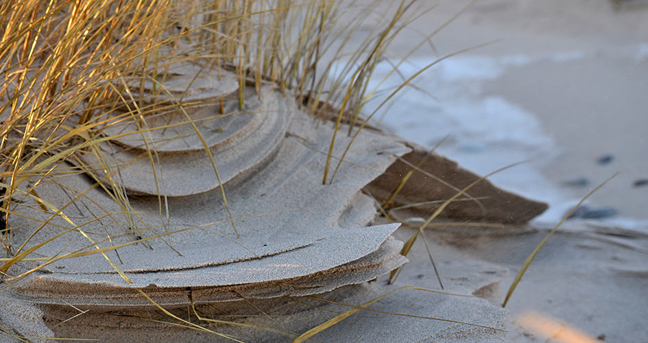 Närbild på sandformation, Gotska Sandön nationalpark.