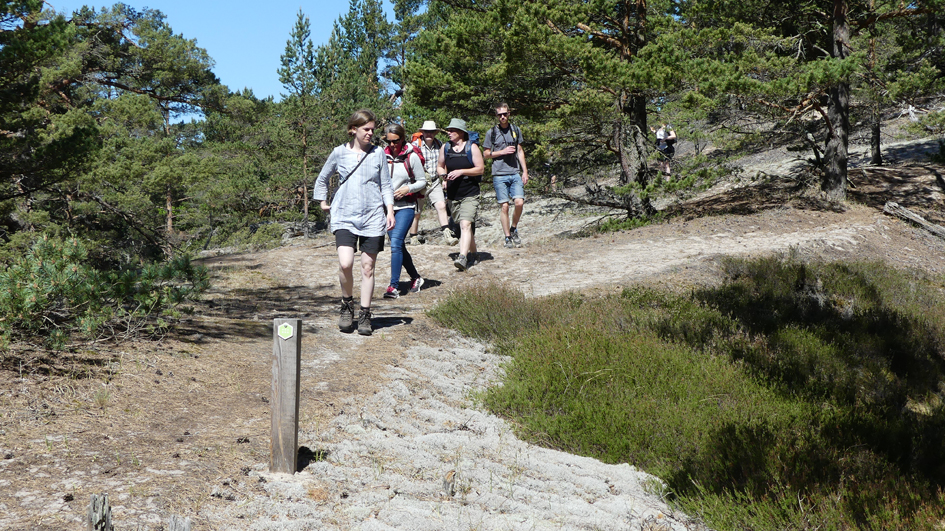 Hikers.