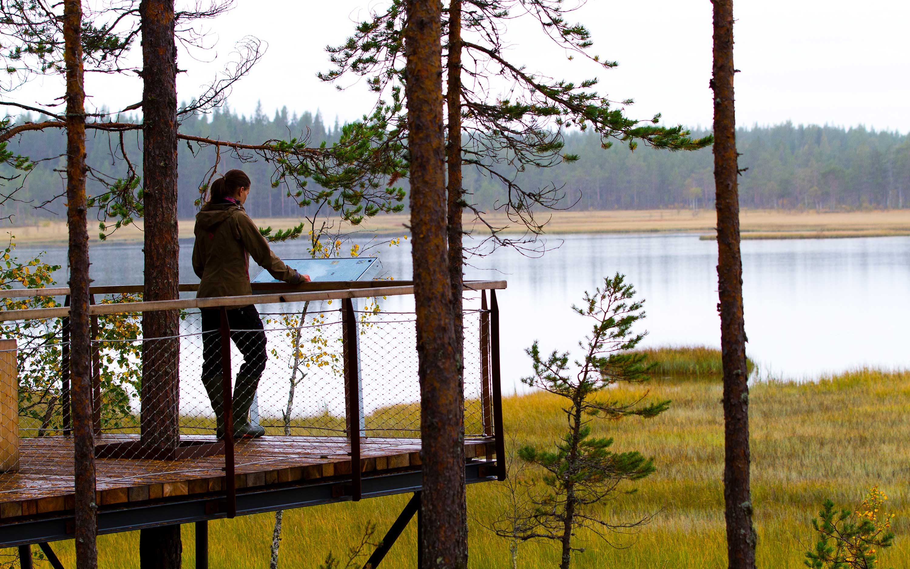 En kvinna står vid en utsiktsplats och ser ut över Svansjön.
