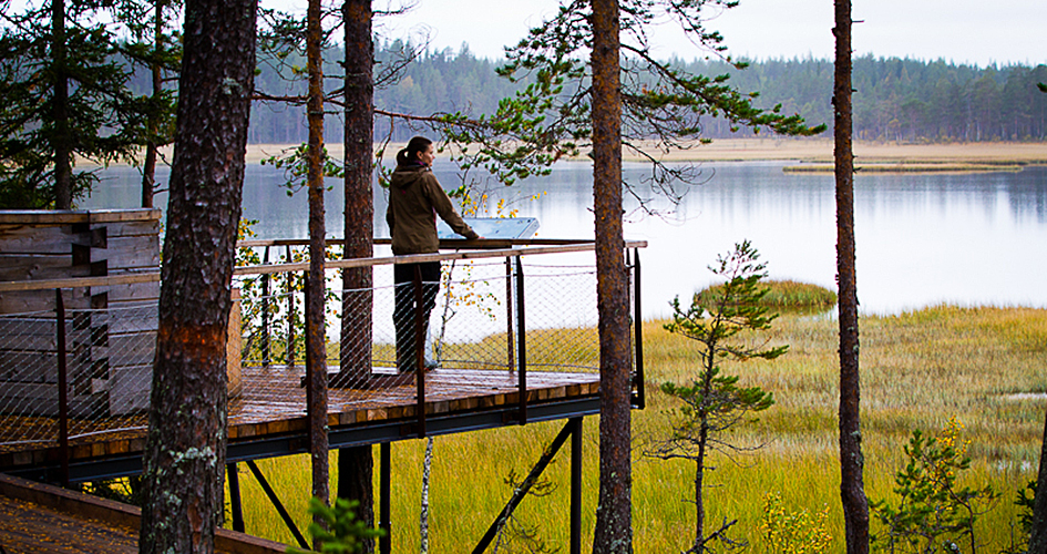 person stands on a wooden lookout point and looks out over the bog and lake.