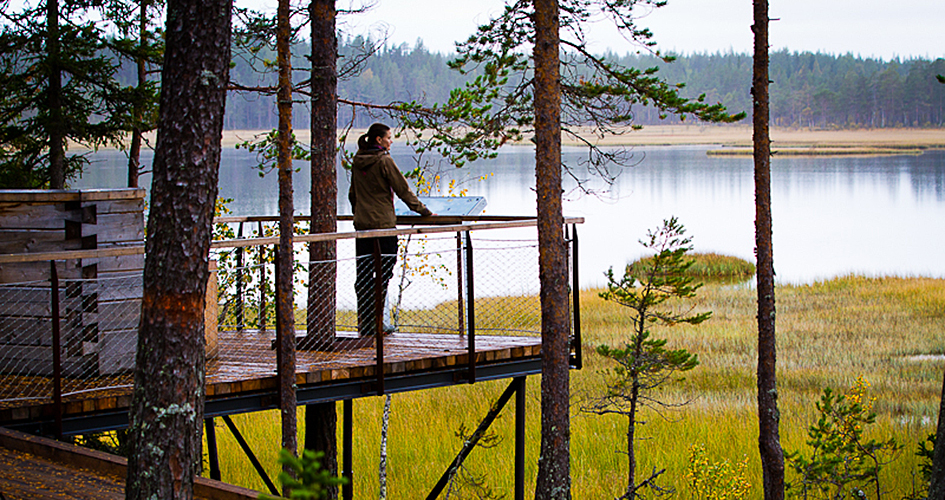 Person stands on a wooden lookout point and looks out over the bog and lake.