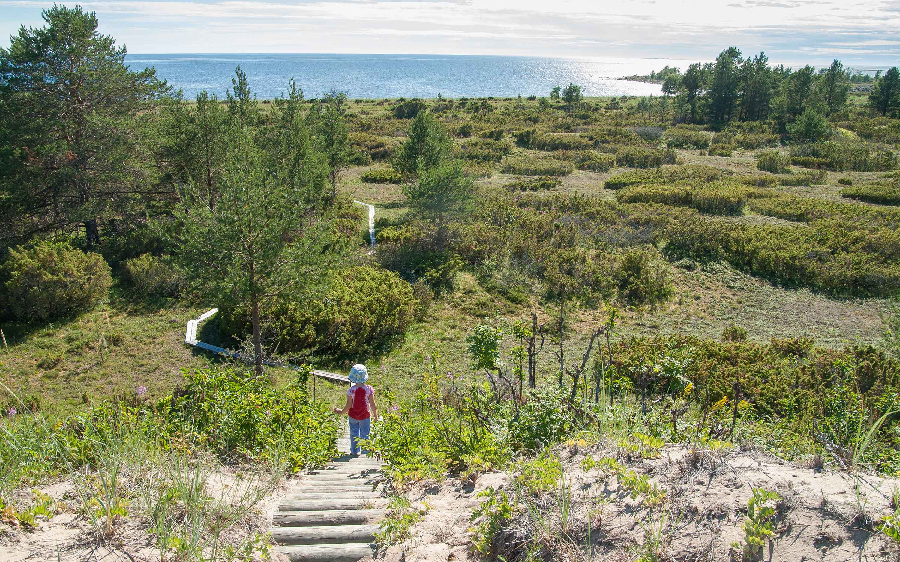 View of drift dunes down to the beach.