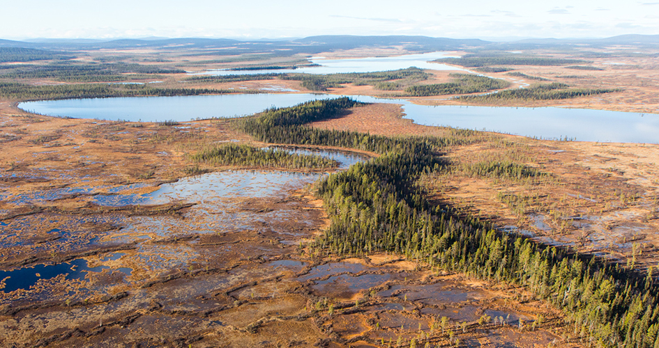 Flygfoto över stora myrar i Muddus/Muttos nationalpark.