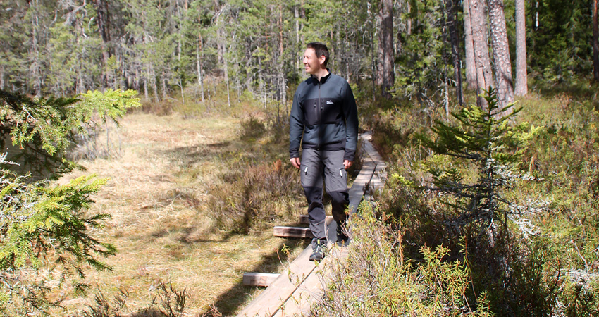 En man går på en träspång i skogen.