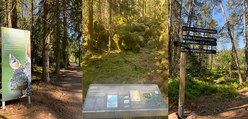Collage av tre bilder med information i skogen