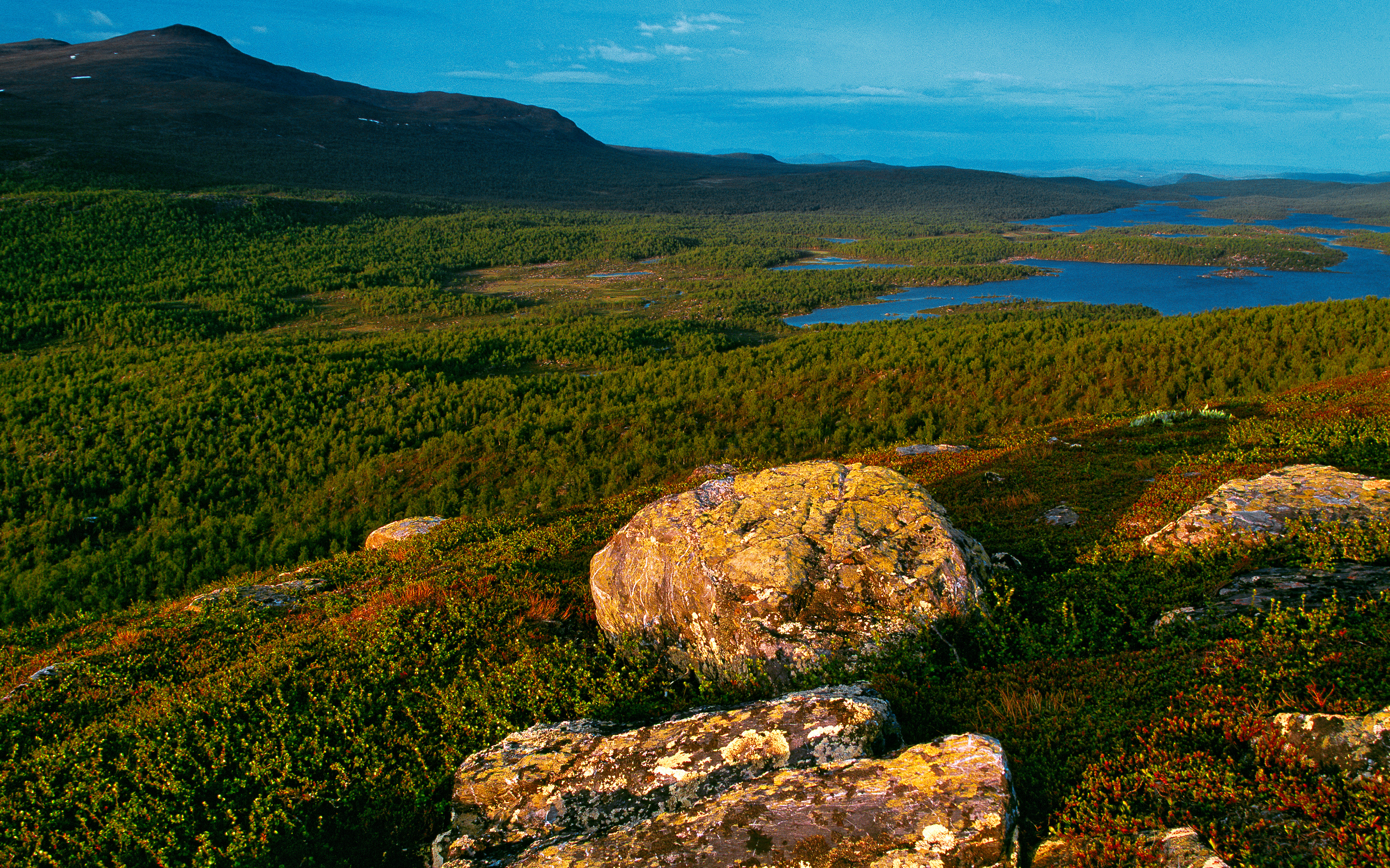 Berg, skog och sjöar i Pieljekaise