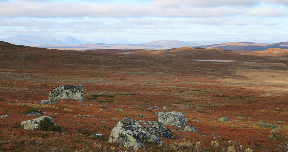 Landskapsvy över lågfjällsområde.