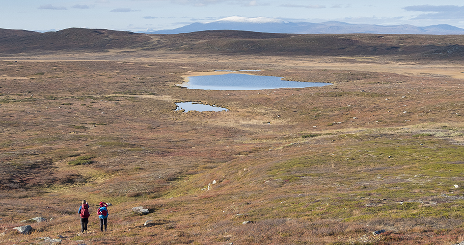 två fjällvandrare på kalfjäll med snöiga berg i bakgrunden.