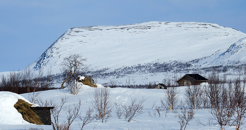 Vy över ett snöklätt Boarek sameviste i Sarek nationalpark med fjället bakom och blå himmel.