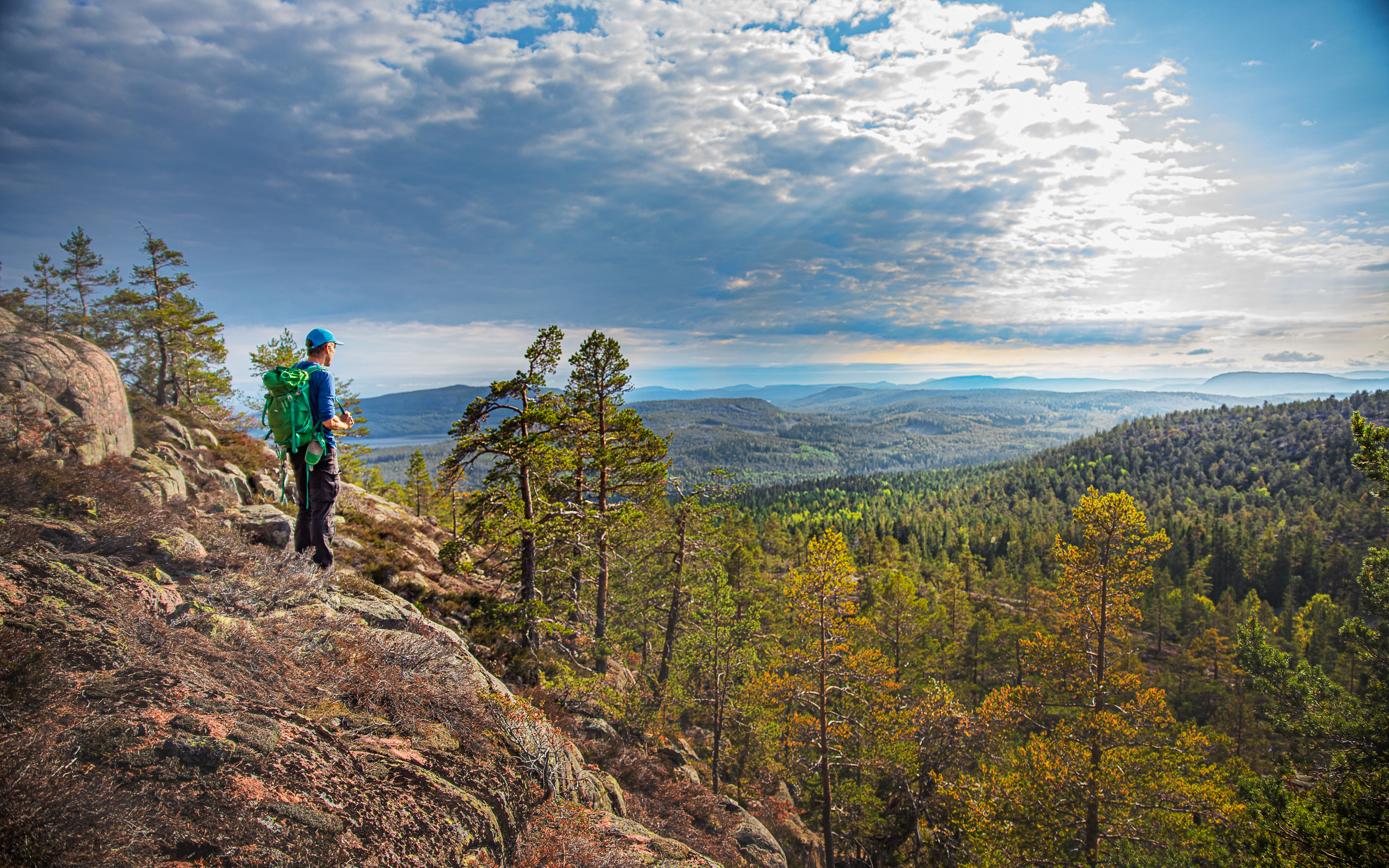 En man som står i en klippbrant med utsikt över skogen.