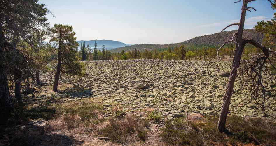 Lots of rocks.