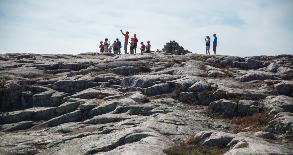 En grupp människor som står på en höjd.