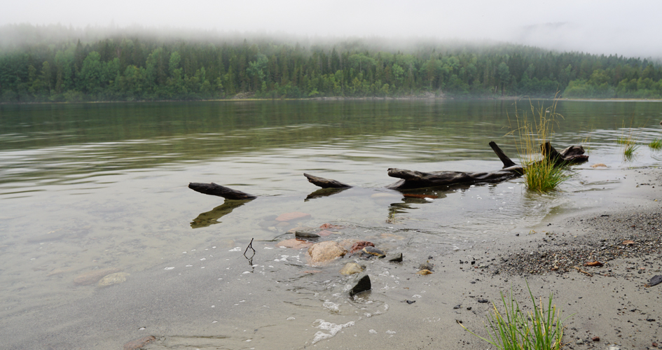 Water and a beach in mist.