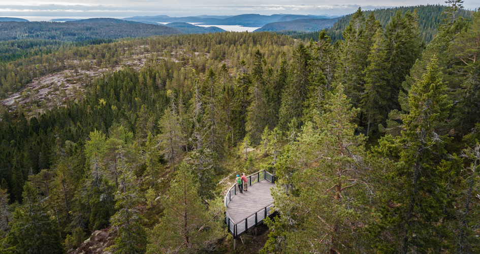 Photo from the air of a wooden view plattform with views out on the forest.