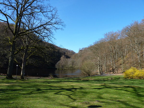 Green lawn with the Skärdammen pond in the rear