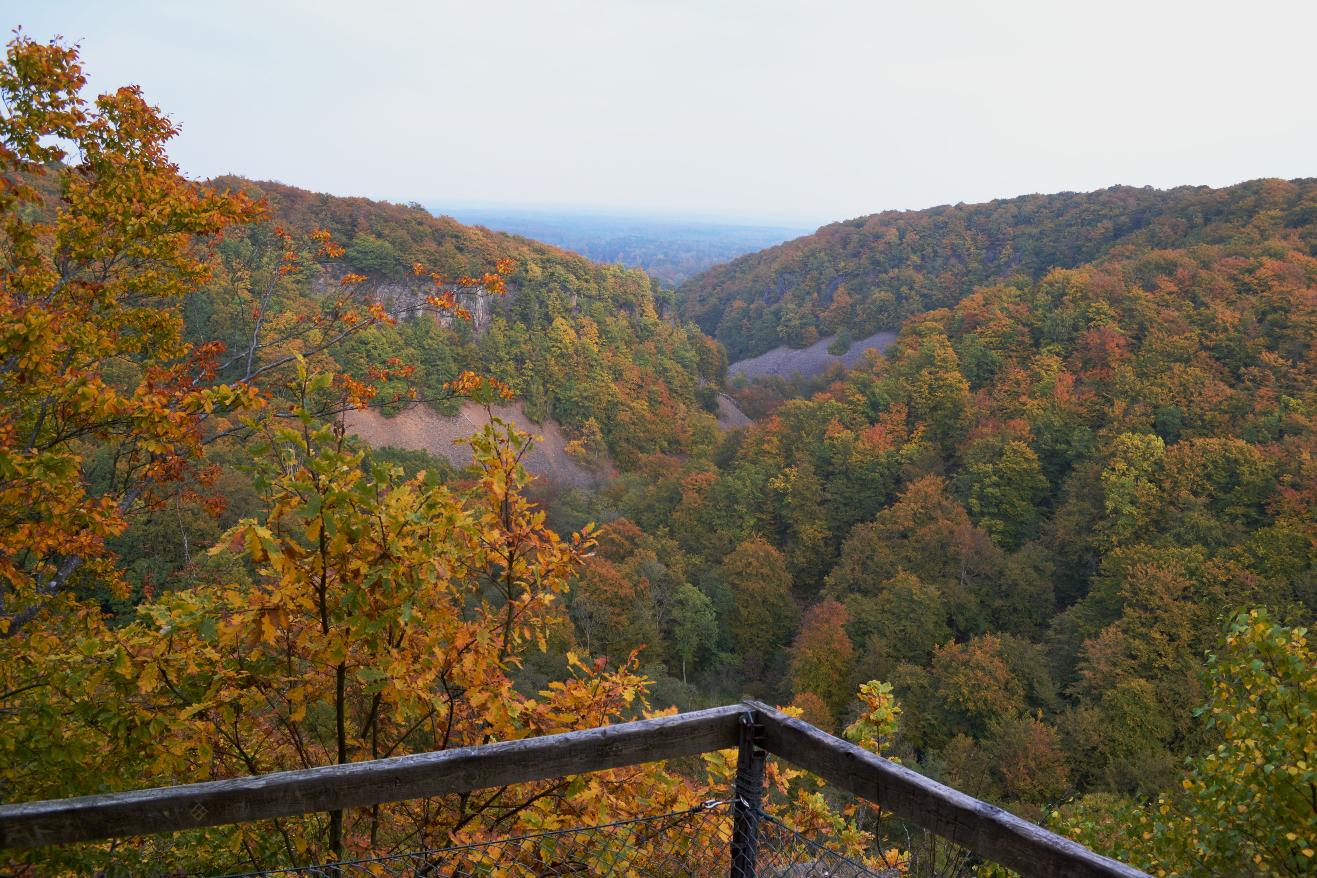 View from Kopparhatten View point over rift valley and autumn coloured forest