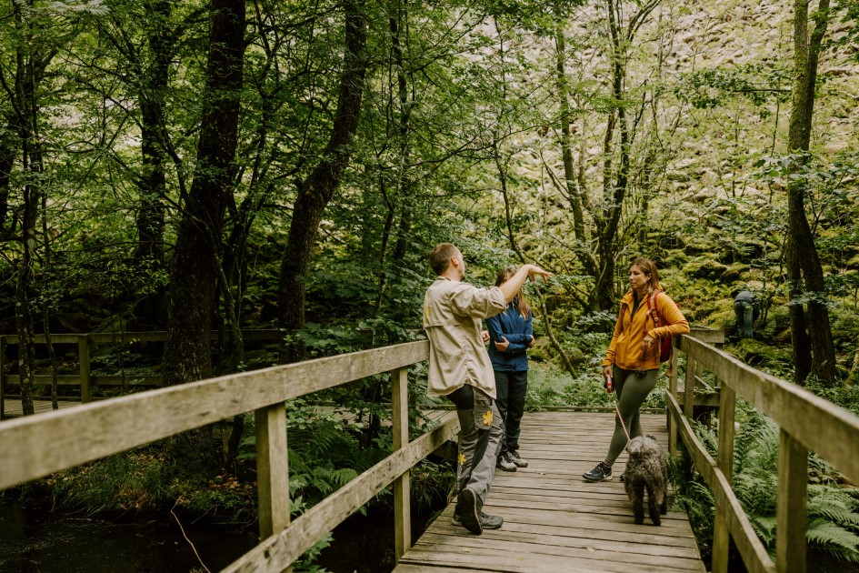 Guide från naturum med besökare på vandring rund Skärdammen