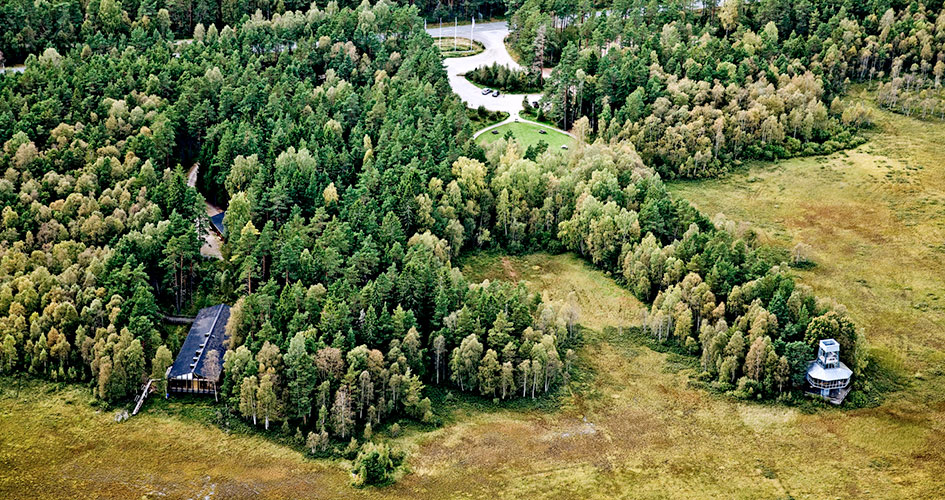 Flygfoto över skog och grönområden.