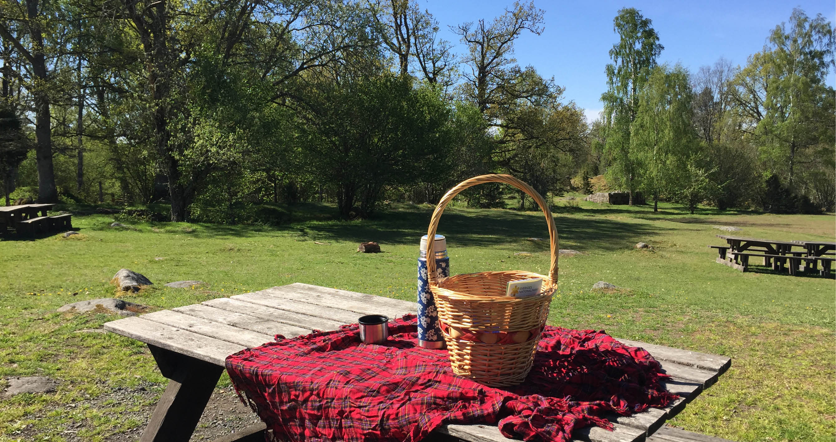 En picknickkorg står på ett bänkbord i solen i en öppen hagmark.