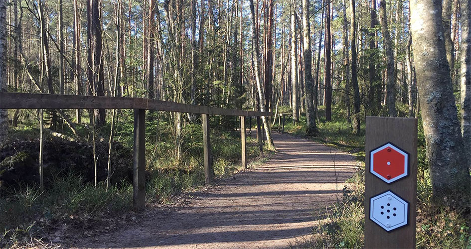 Wibecksleden, en vandringsled i skogen.