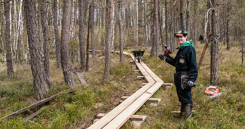 Man med skruvdragare framför en nybyggd spång i tallskog.