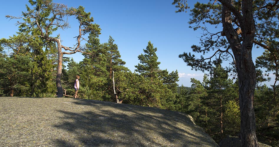 Ett barn står på en berghäll.