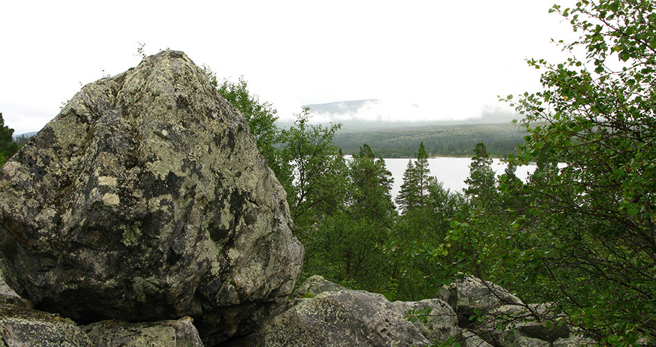 Klippblock framför en horisont av skog och vatten.