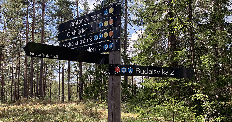 Vägvisare