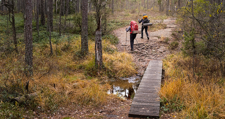 Two women with backpacks hiking through the forest