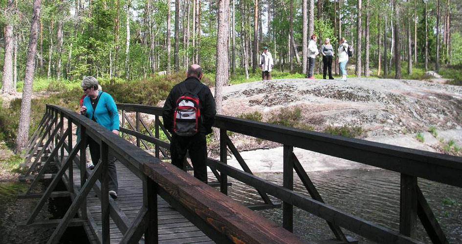 Besökare går över en bro i skogen.