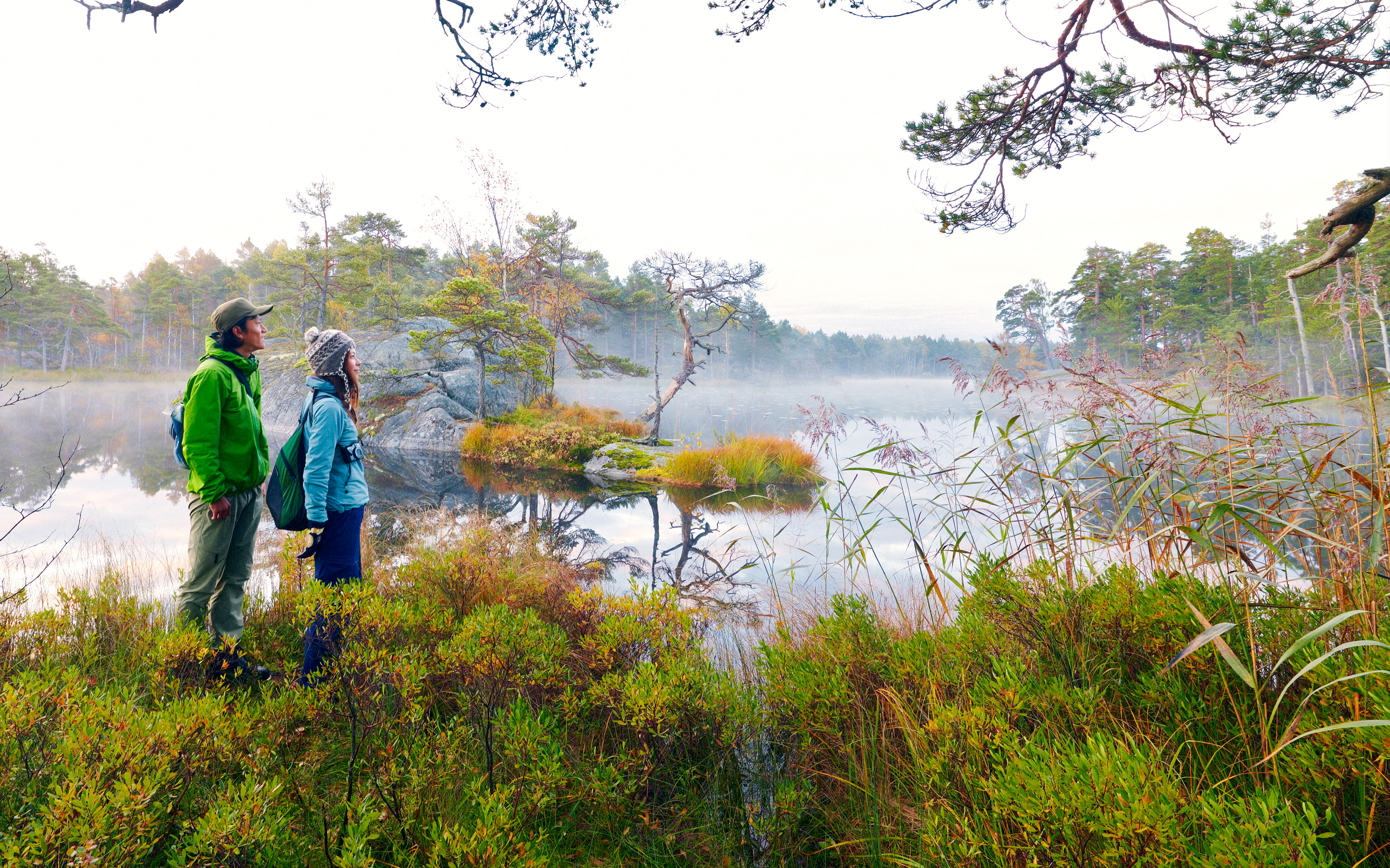 Besökare i Tyresta nationalpark