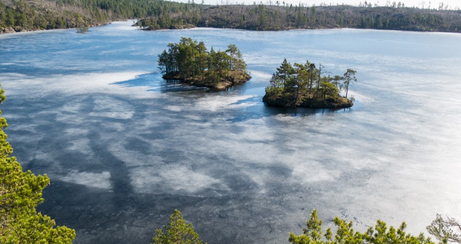 En frusen sjö med skog i bakgrunden.