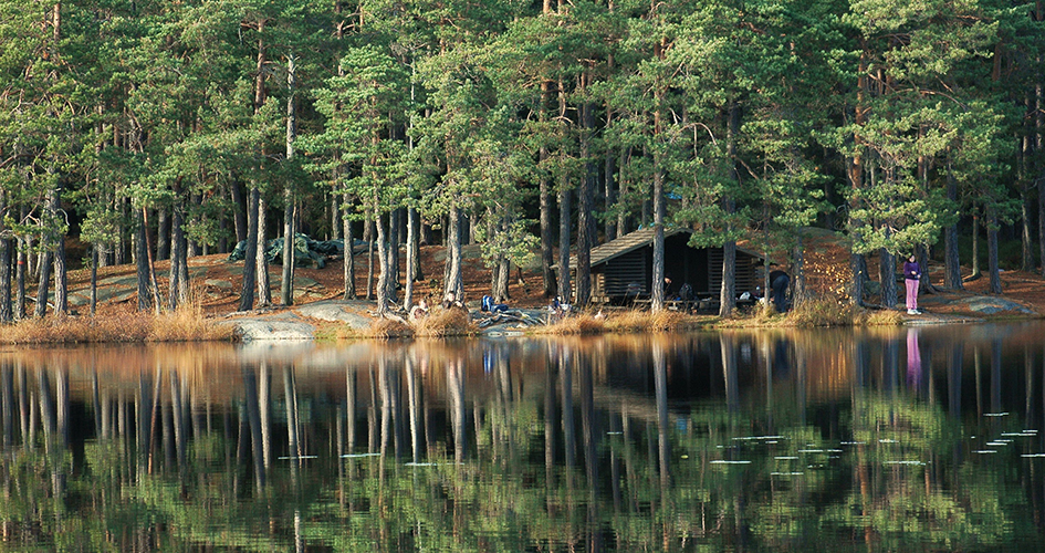 Vy över en spegelblank sjö, på andra sidan en tallskog.