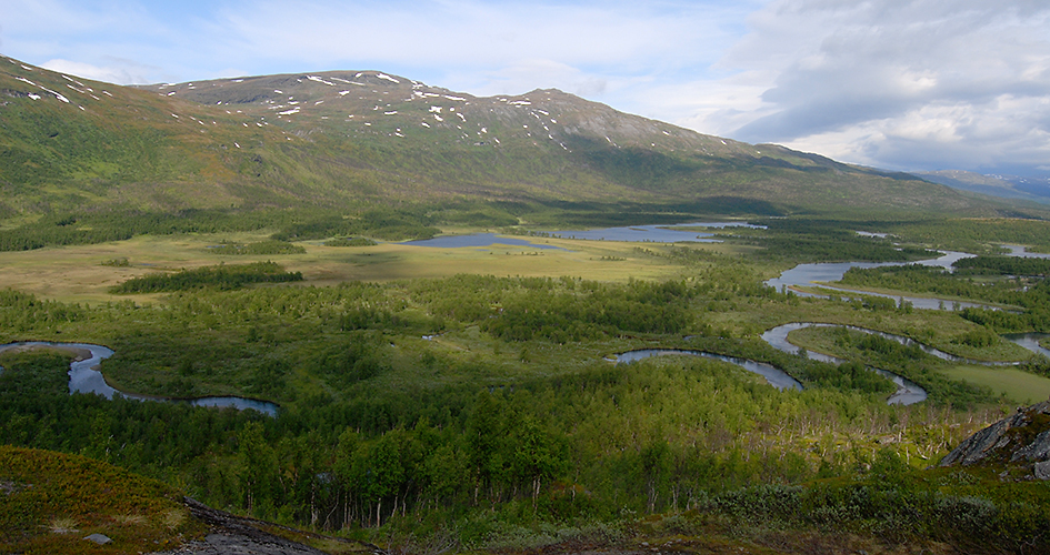 Utsikt över floddeltat med berg i bakgrunden.